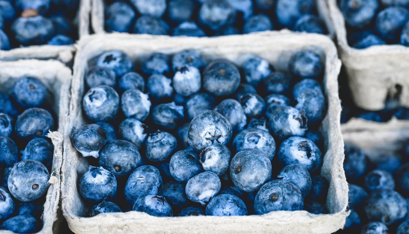 Blueberries Health Benefits